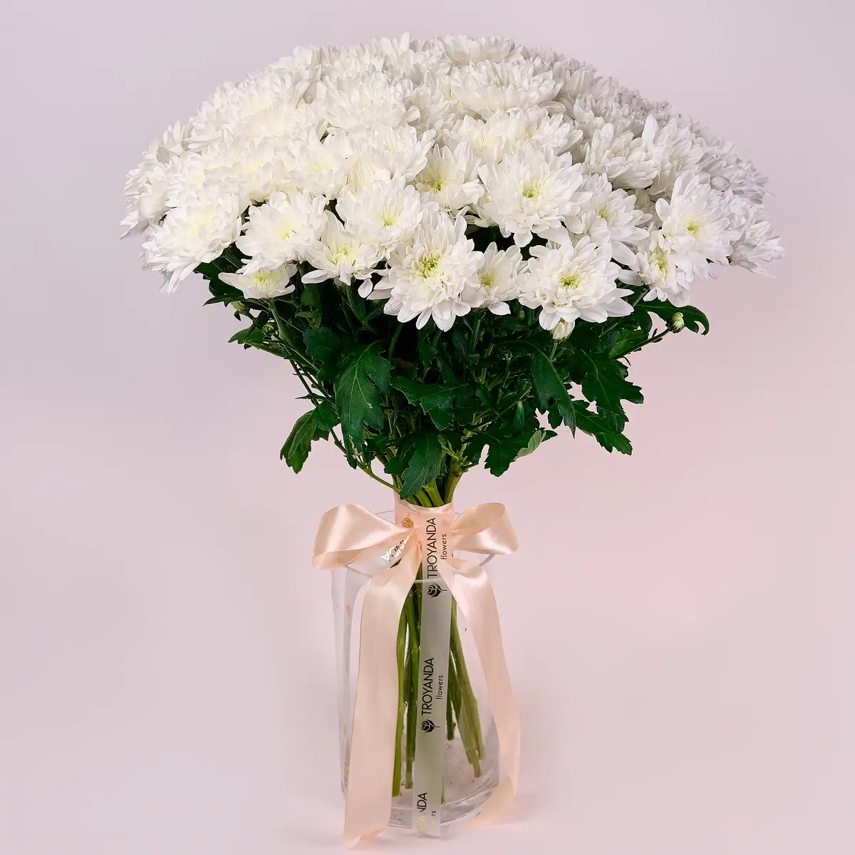 Букет 25 Білих Хризантем купити