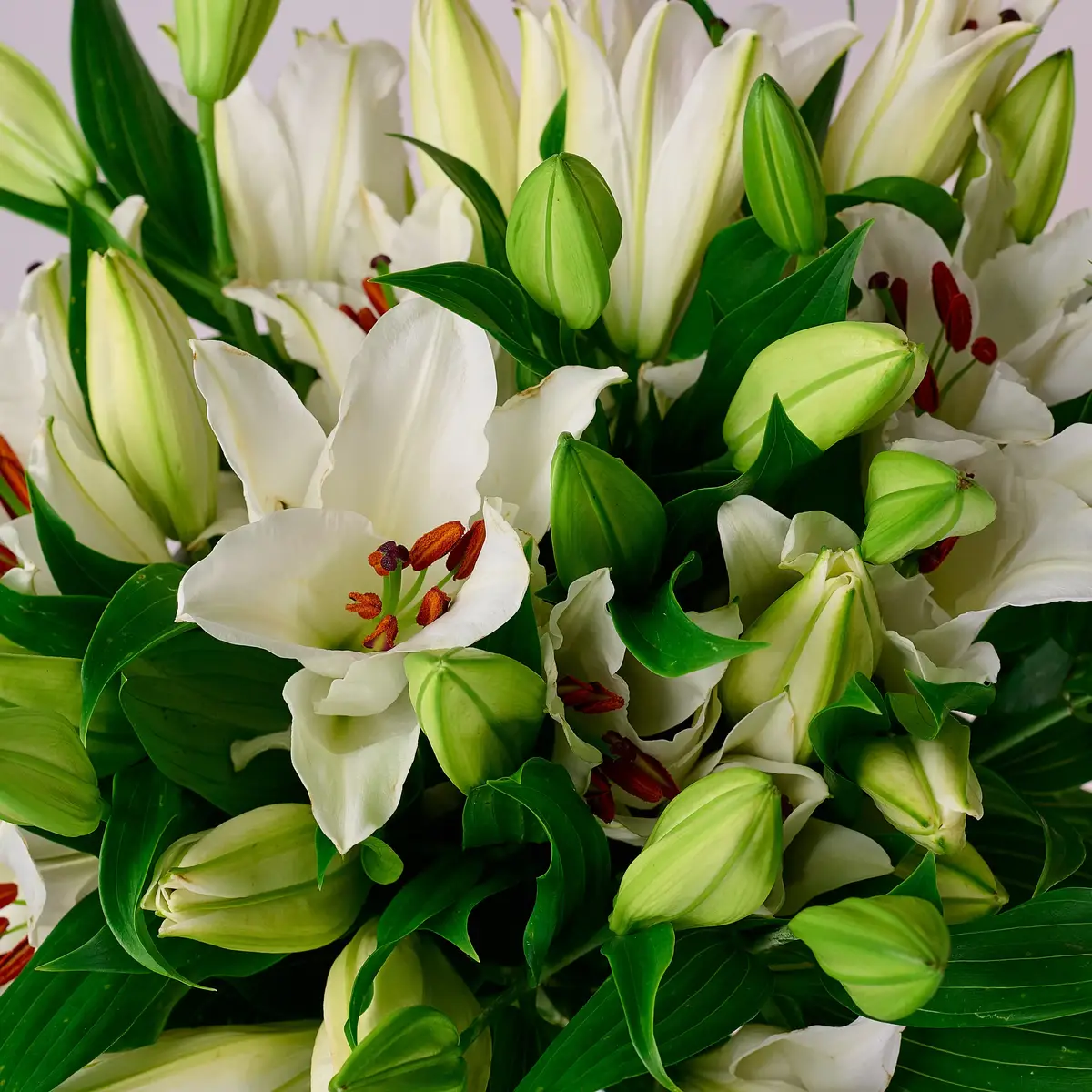 Букет 13 Білих Лілій купити недорого в Україні, фото 3