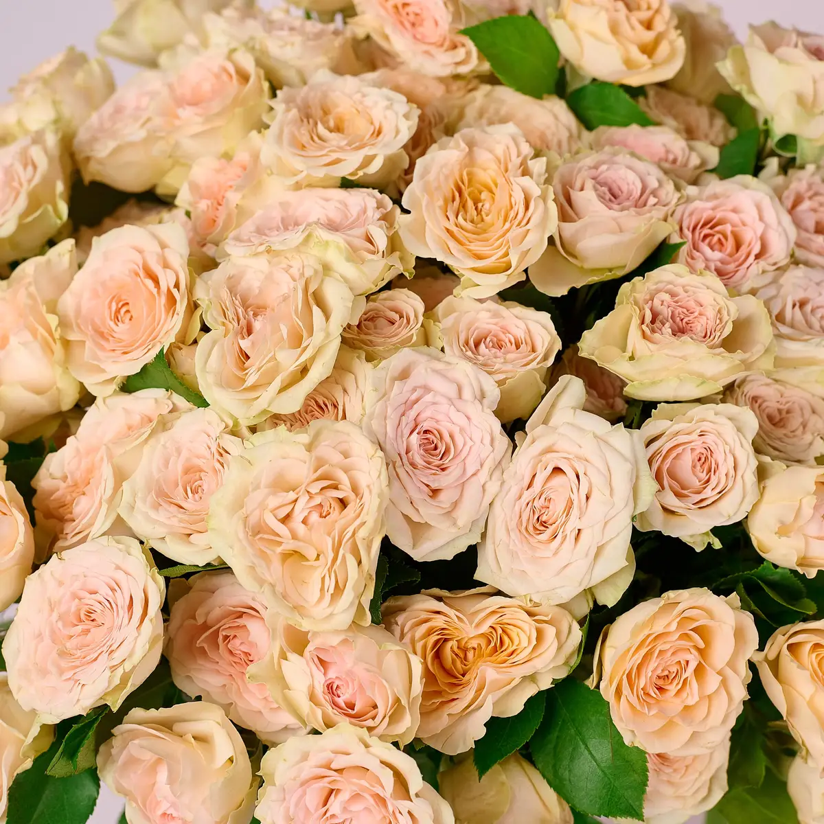 Букет 21 Троянда спрей Росанела купити недорого в Україні, фото 3