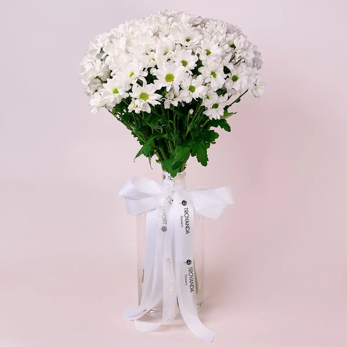 Букет 15 Білих Хризантем Ромашка купити