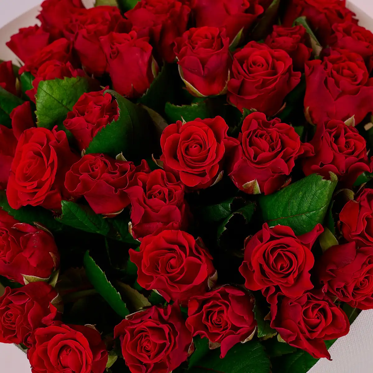 Букет 45 Троянд Ель Торо купити недорого в Україні, фото 3