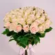 Букет 51 Троянда Хай Брайдл купити