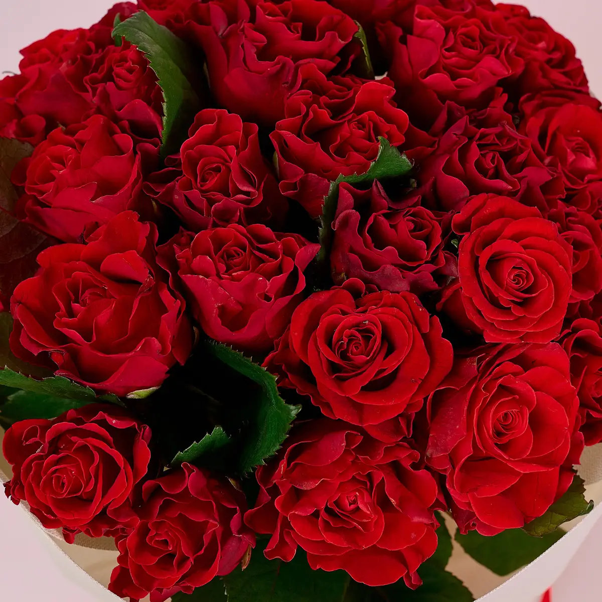 Букет 27 Троянд Ель Торо купити недорого в Україні, фото 3