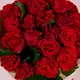 Букет 27 Троянд Ель Торо купити