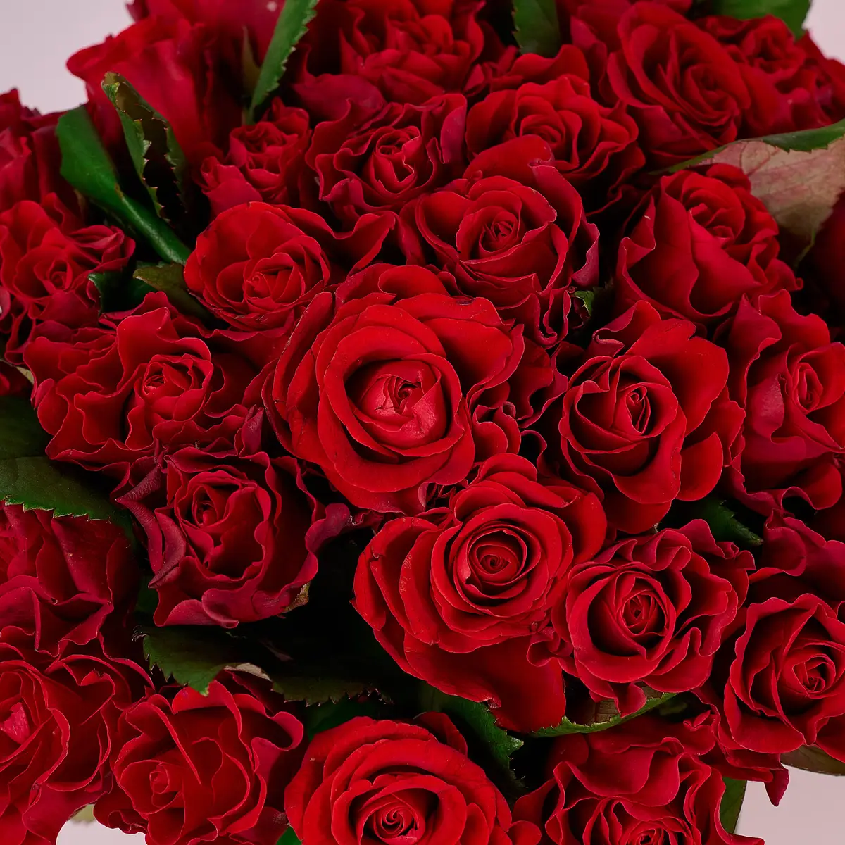 Букет 35 Троянд Ель Торо купити недорого в Україні, фото 3
