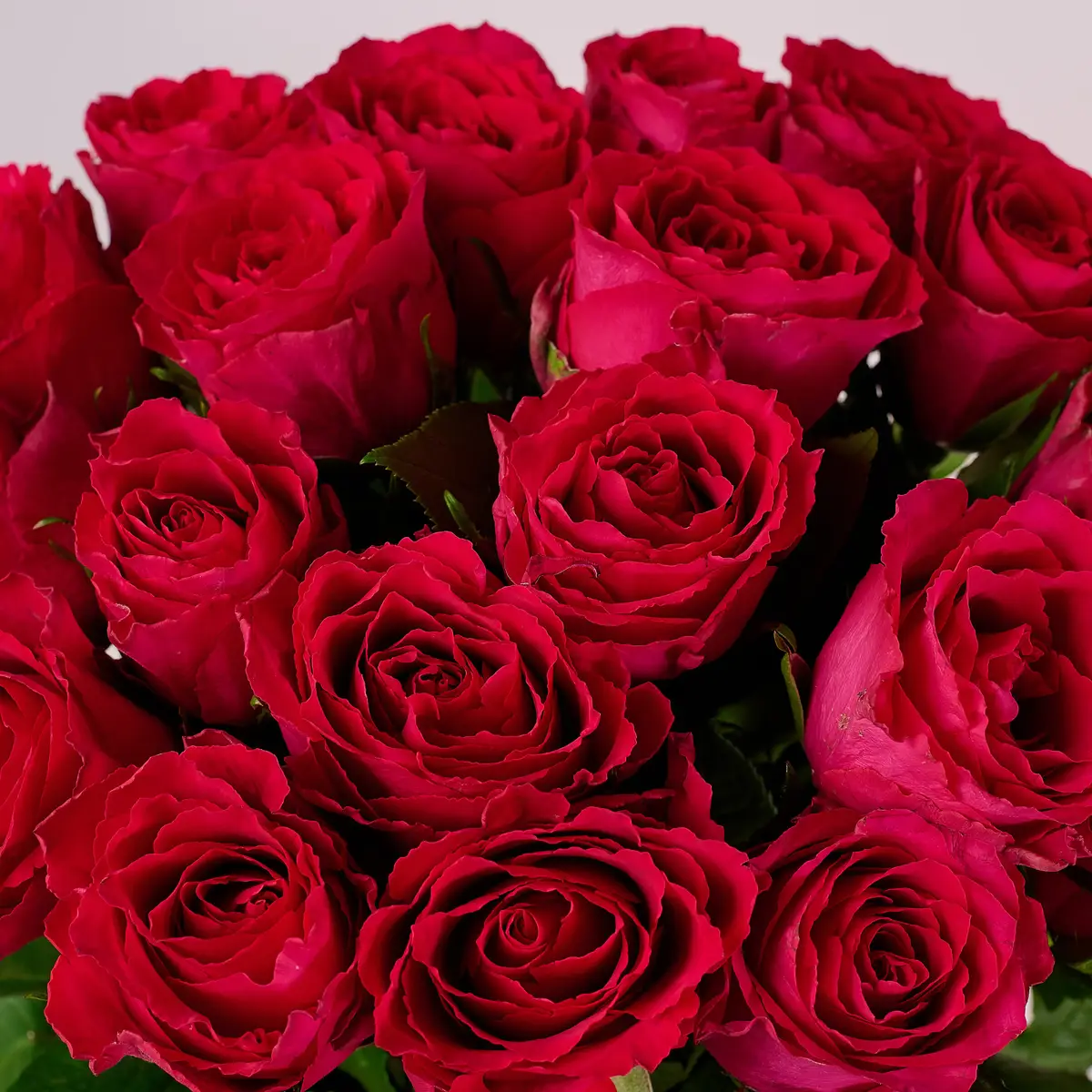 Букет 19 Роз Мадам Цериз купить недорого в Украине, фото 3