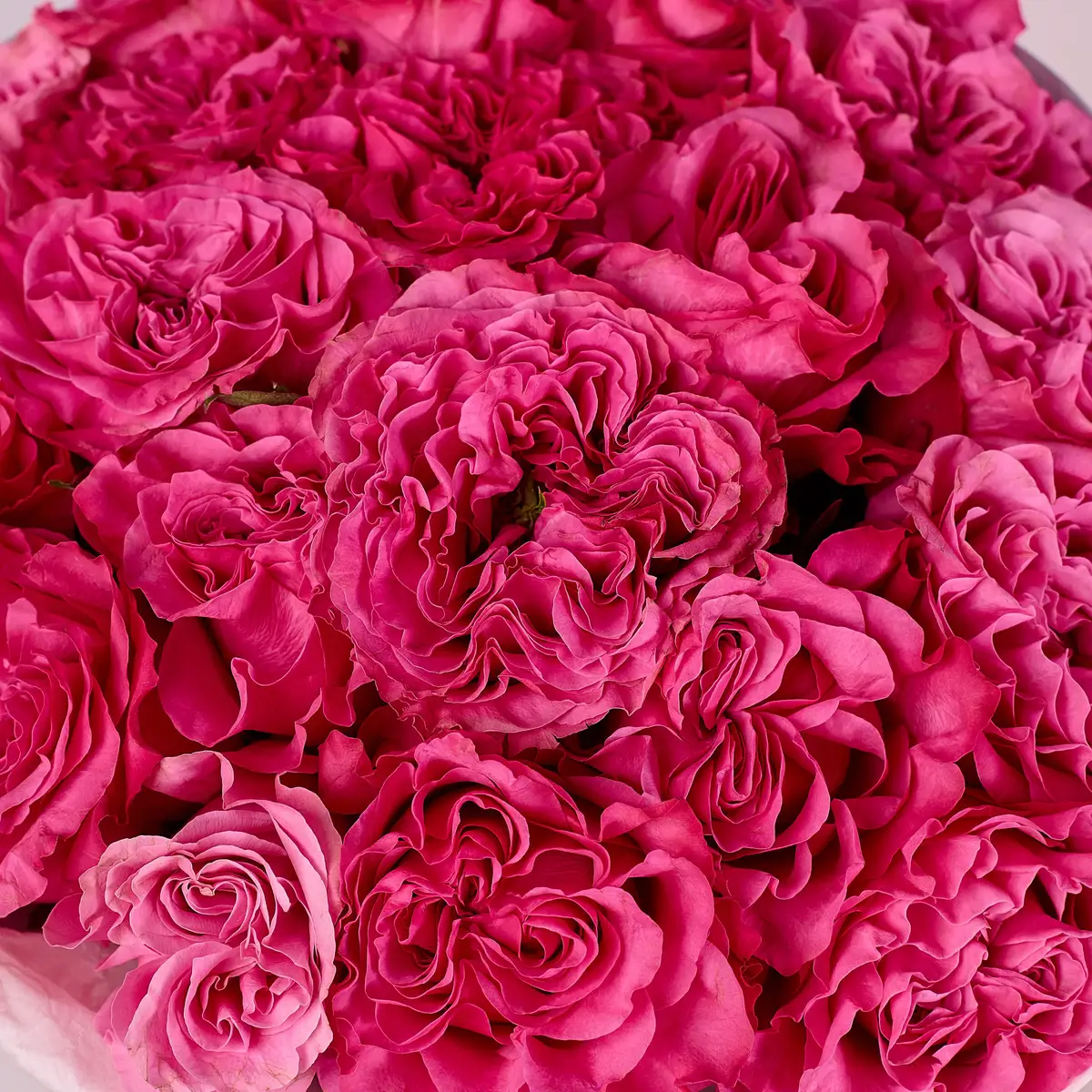 Букет 19 Троянд Кантрі Блюз купити недорого в Україні, фото 3