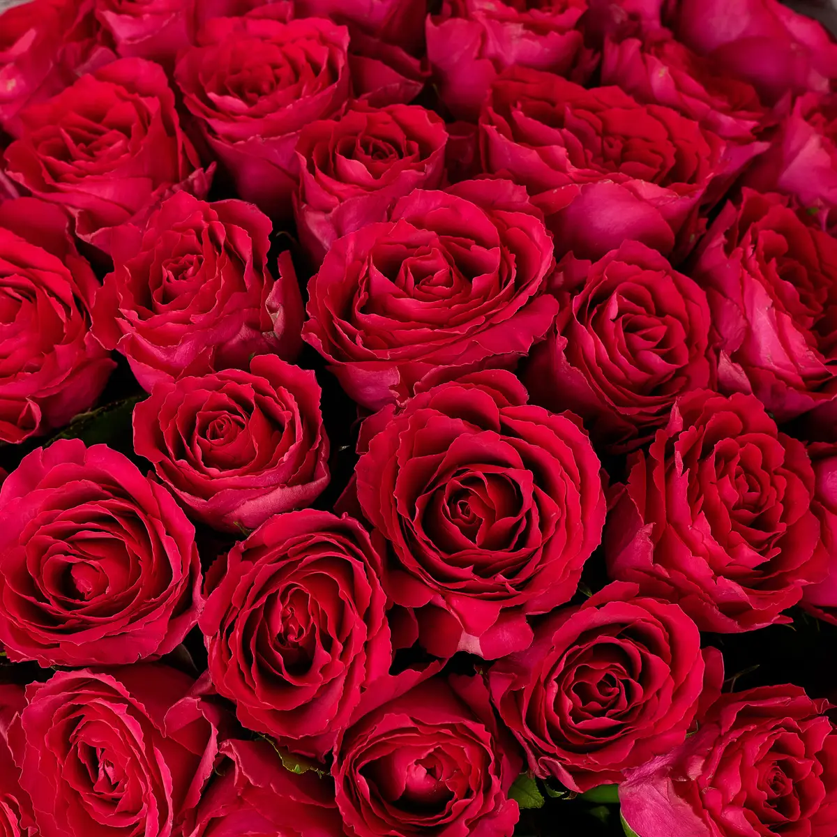 Букет 35 роз мадам цериз купить недорого в Украине, фото 3