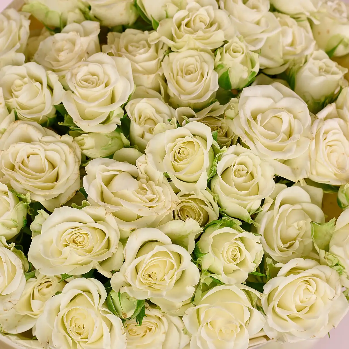 Букет 17 Троянд спрей Сновфлейк купити недорого в Україні, фото 3