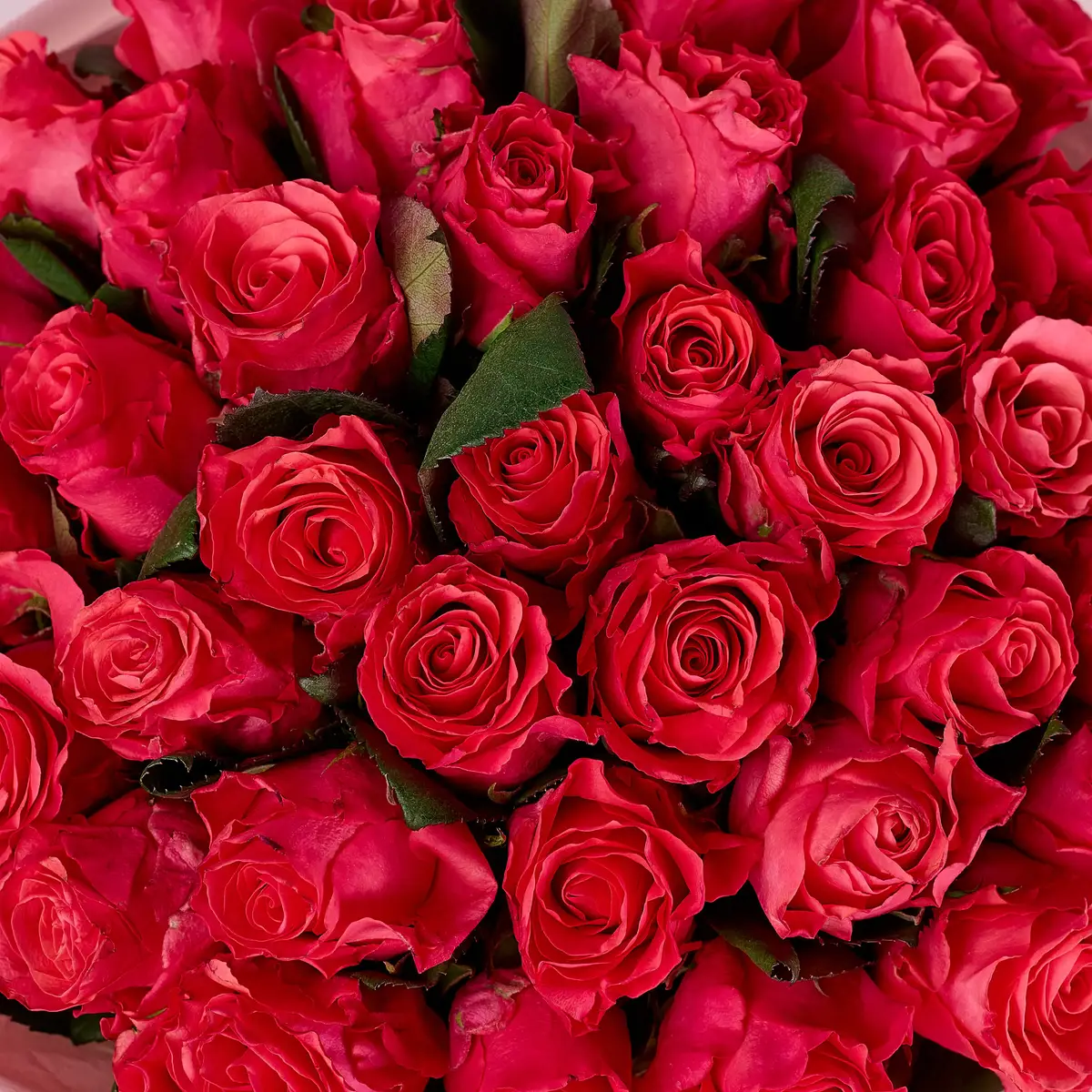 Букет 39 Троянд Пінк Таказі купити недорого в Україні, фото 3