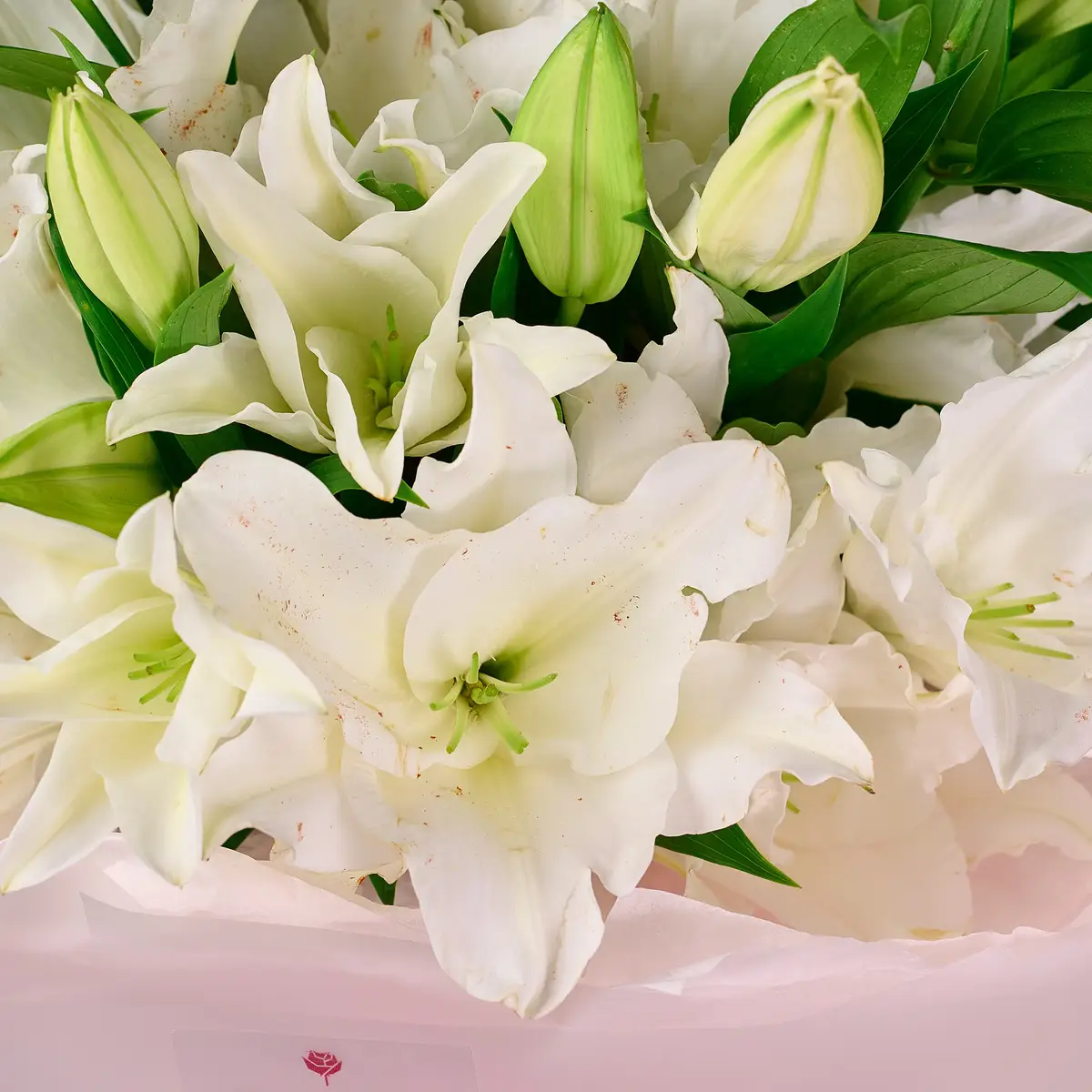 Букет 15 Білих Лілій купити недорого в Україні, фото 3