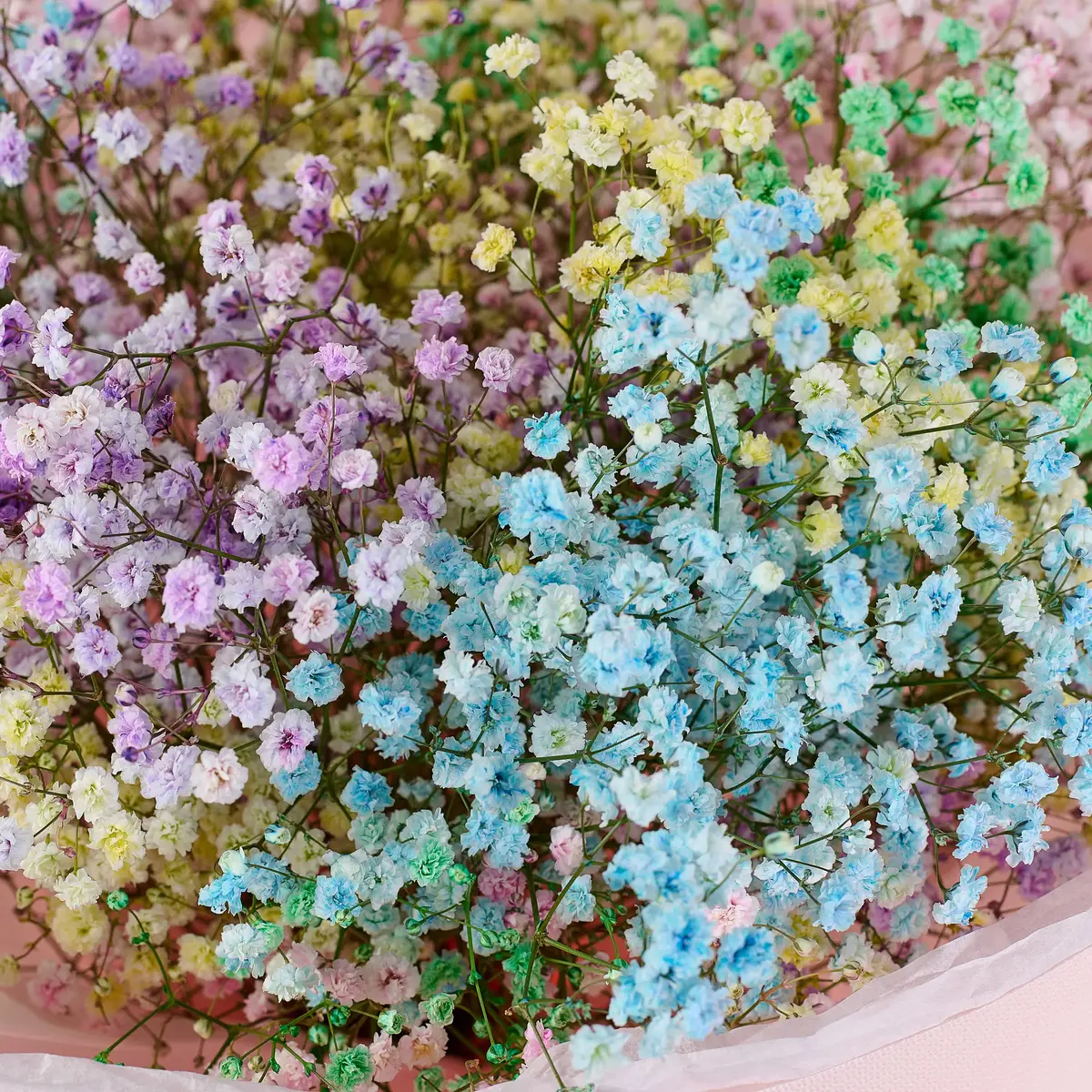 Букет 9 Кольорових Гіпсофіл купити недорого в Україні, фото 3