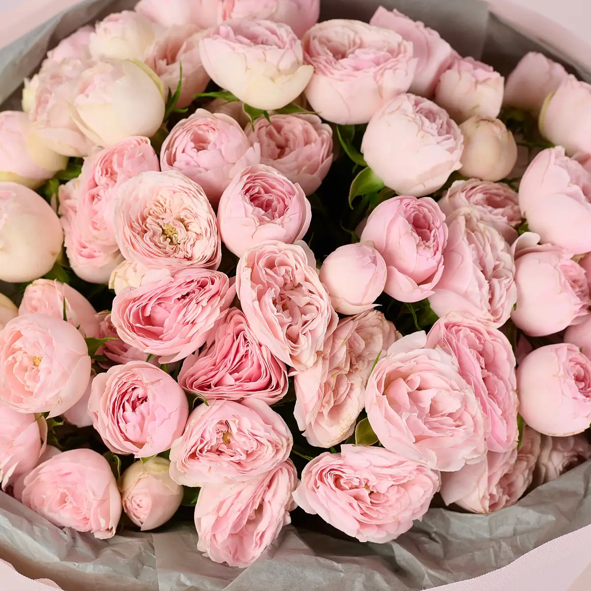 Букет 19 Роз Спрей Мансфилд Парк купить недорого в Украине, фото 3