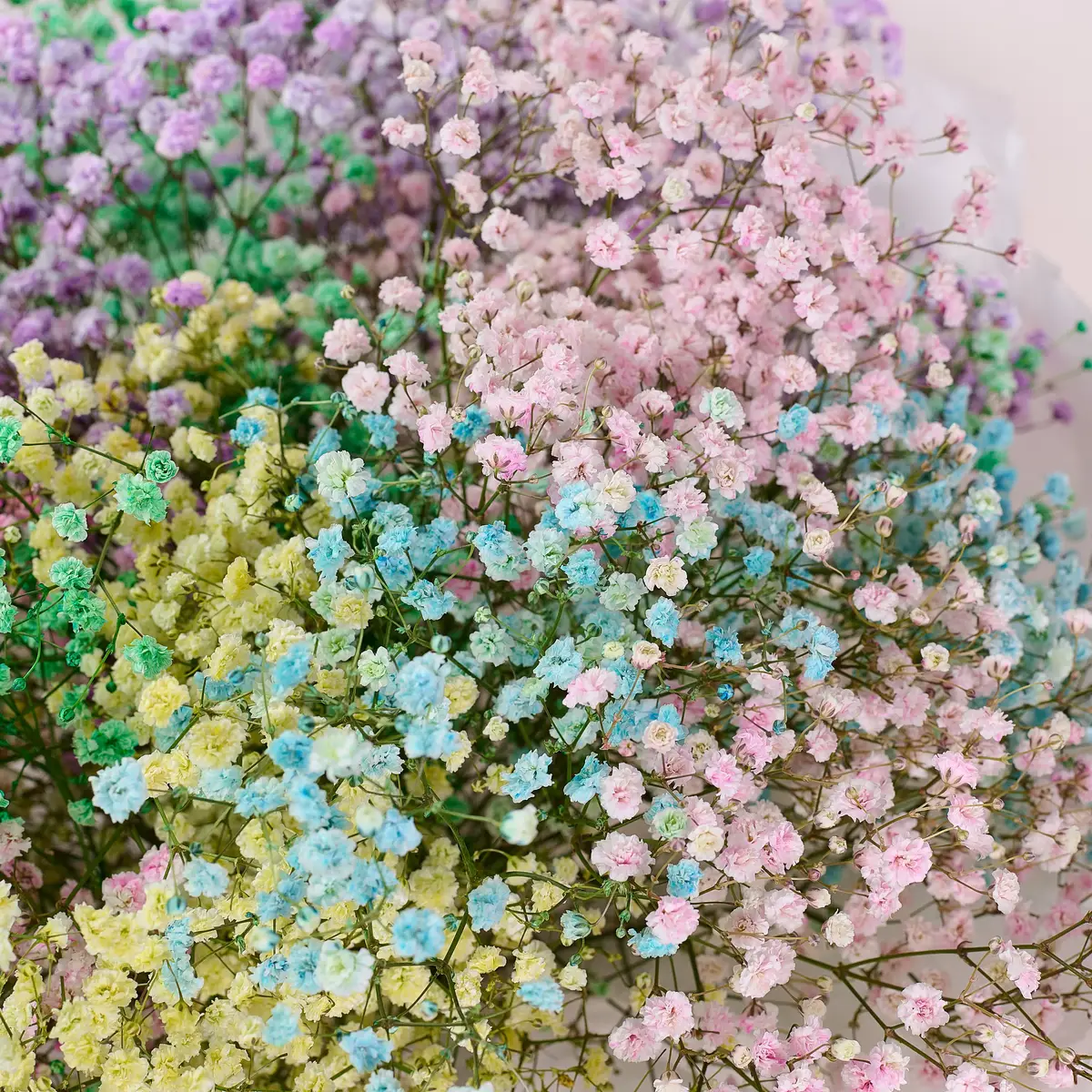 Букет 15 Кольорових Гіпсофіл купити недорого в Україні, фото 3