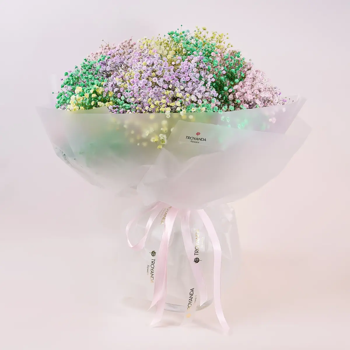 Букет 21 Кольорова Гіпсофіла купити