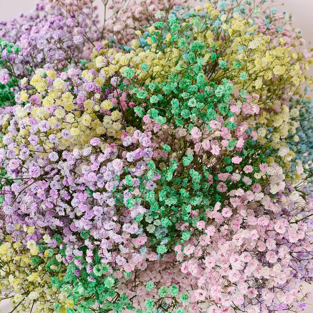 Букет 21 Кольорова Гіпсофіла купити недорого в Україні, фото 3