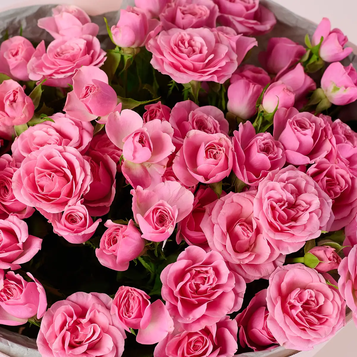 Букет 15 Роз спрей Пинк Бум купить недорого в Украине, фото 3