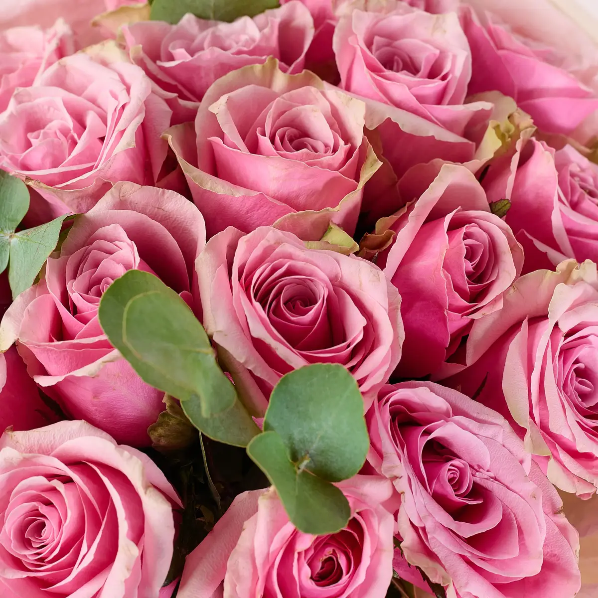 Букет 19 Роз Атена Роял купить недорого в Украине, фото 3