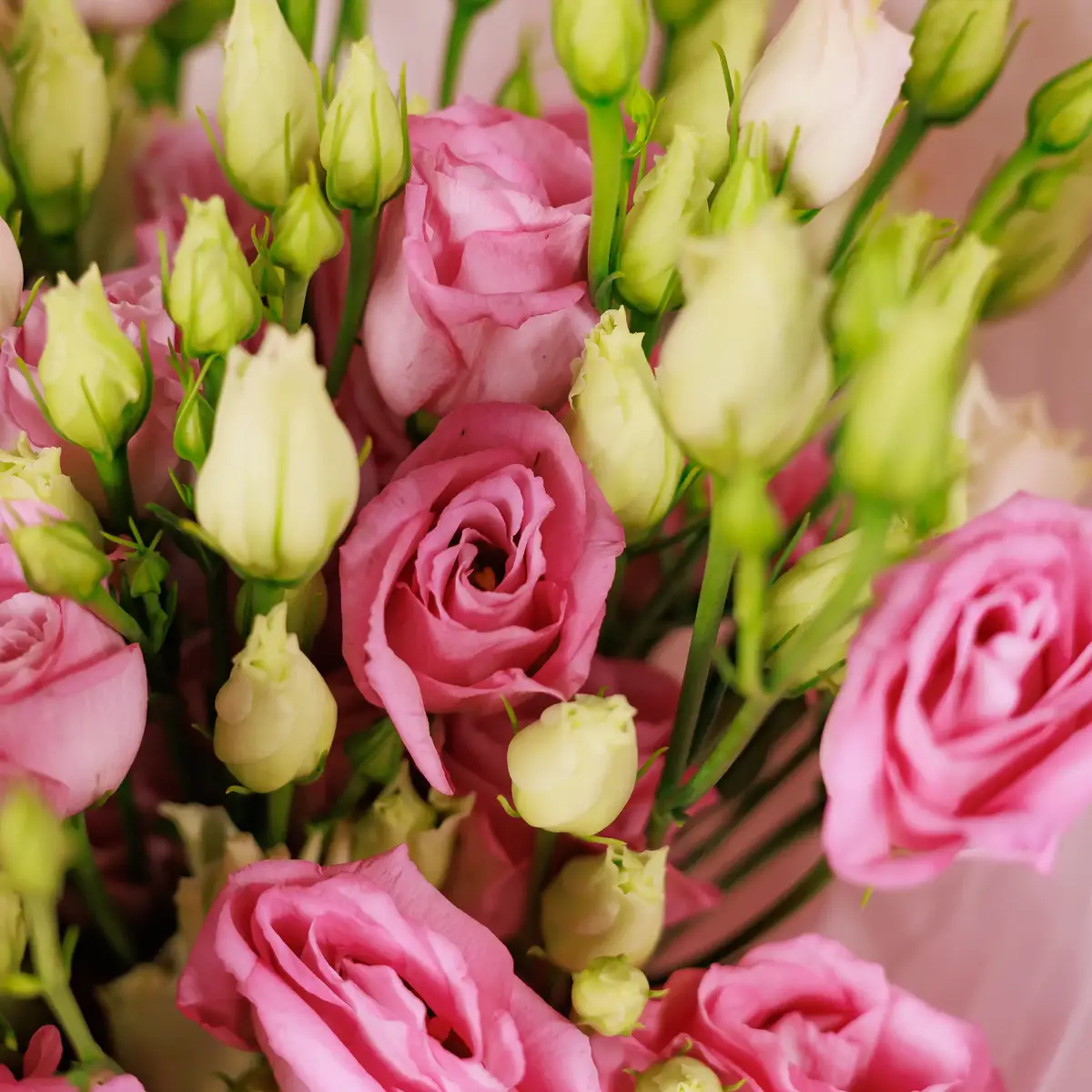 Букет 7 Розовых эустом купить недорого в Украине, фото 3