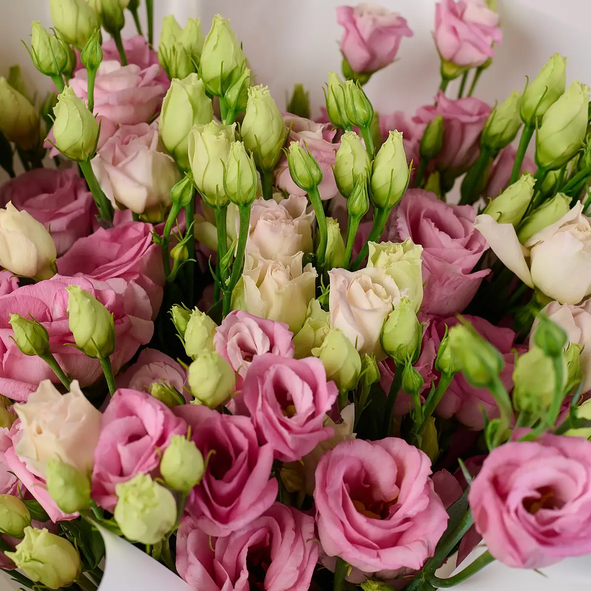 Букет 11 Розовых эустом купить недорого в Украине, фото 3