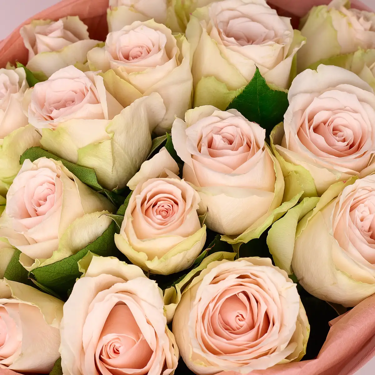 Букет 19 Троянд Хай Брайдл купити недорого в Україні, фото 3