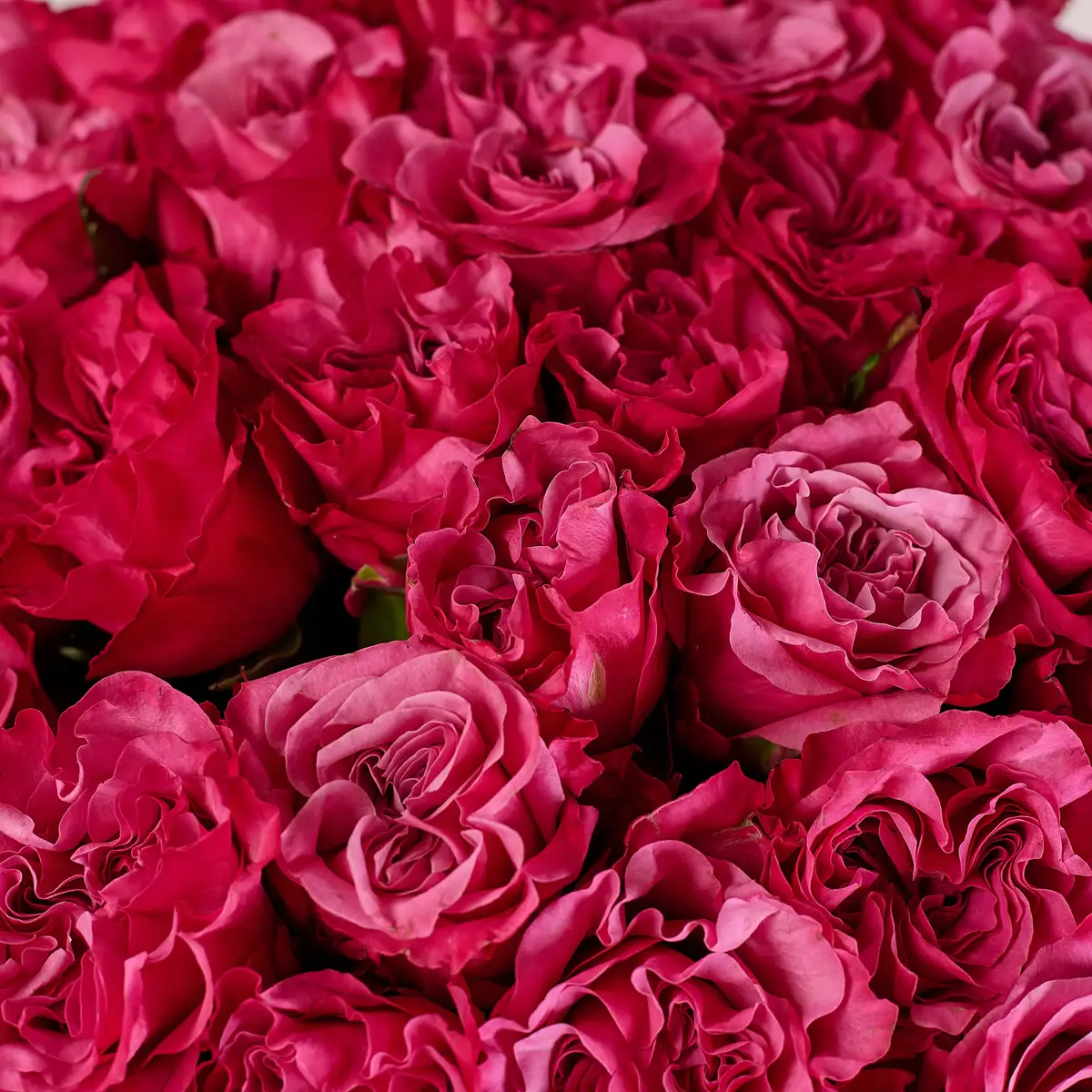 Букет 45 Троянд Кантрі Блюз купити недорого в Україні, фото 3