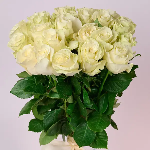Букет 23 Троянди білих Мондіаль купити