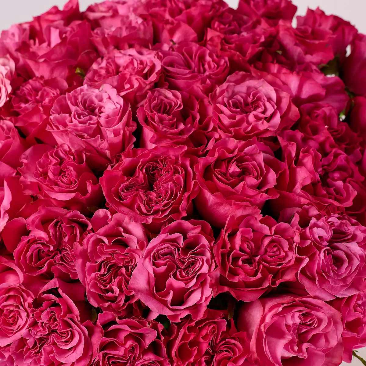 Букет из 49 роз Country Blues купить недорого в Украине, фото 3