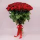 Букет 55 Троянд червоних Гран Прі купити недорого в Україні, фото 511