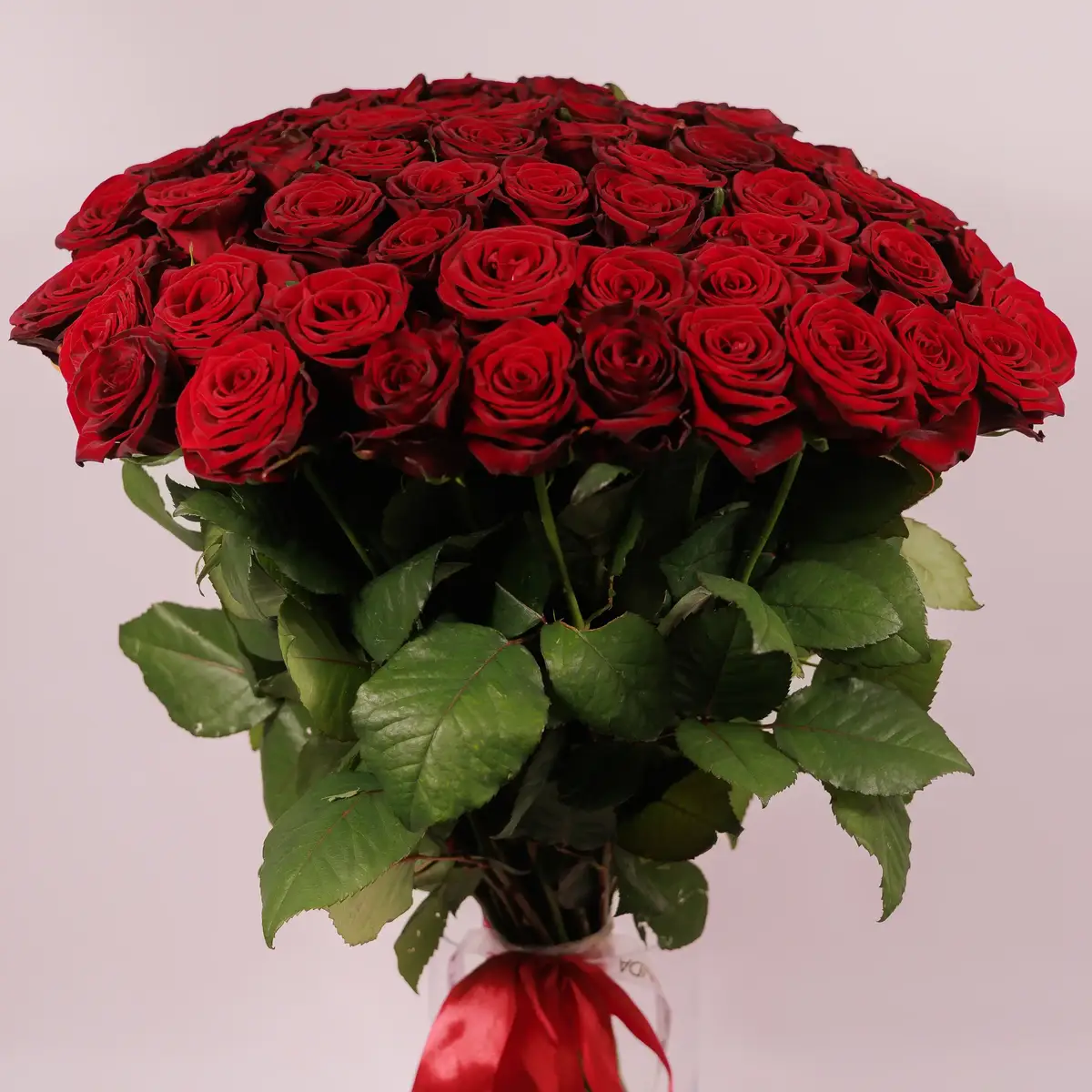 Букет 55 Троянд червоних Гран Прі купити недорого в Україні, фото 2