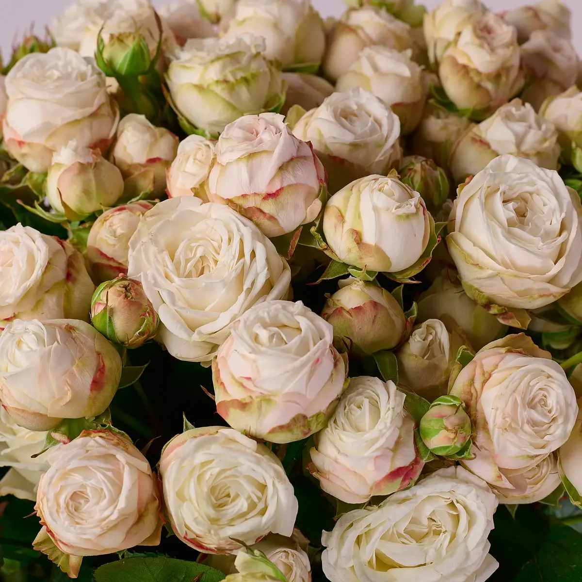 Букет 29 Троянд спрей Принцеса Бомбастик купити недорого в Україні, фото 3