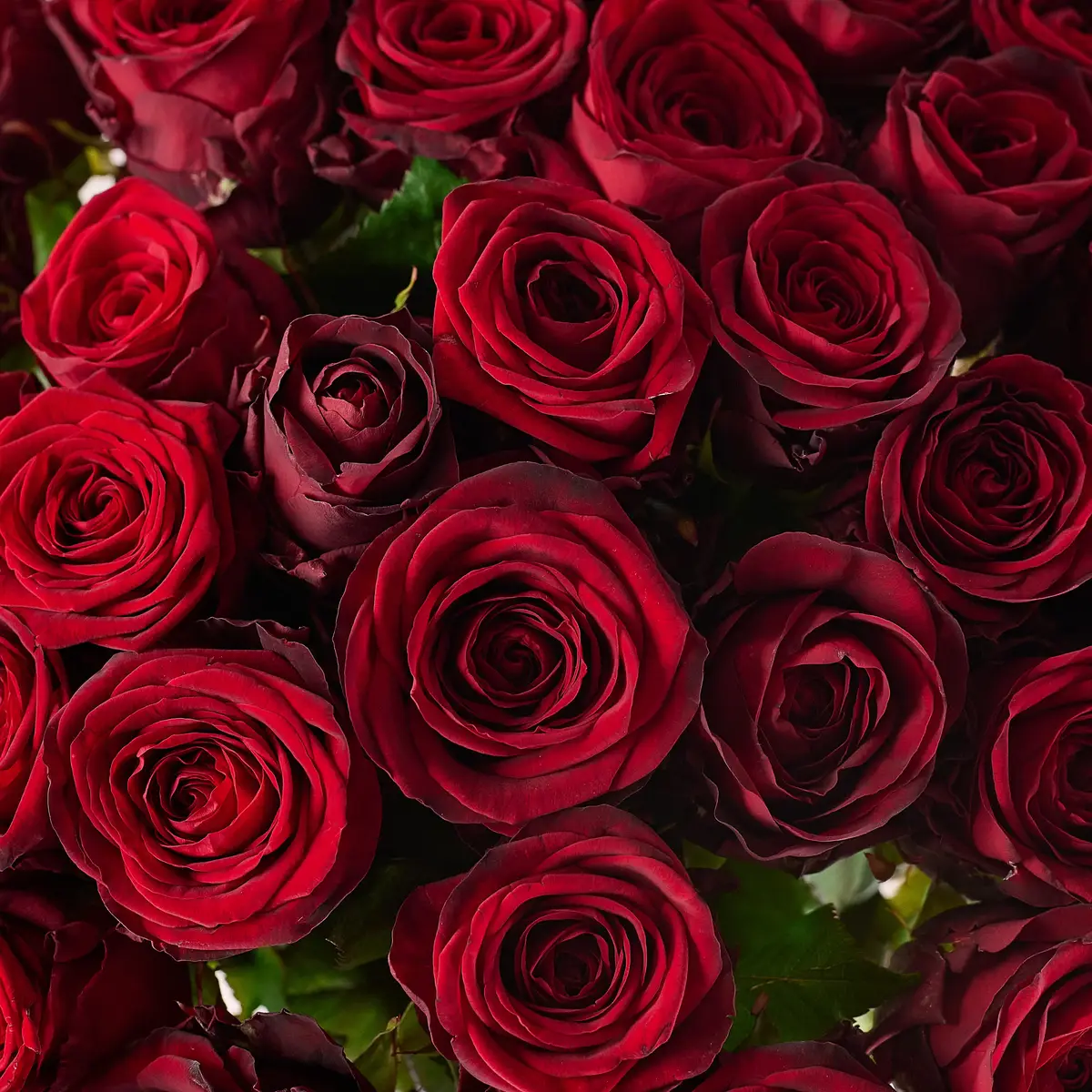 Букет из 35 роз красных Ред Наоми купить недорого в Украине, фото 3