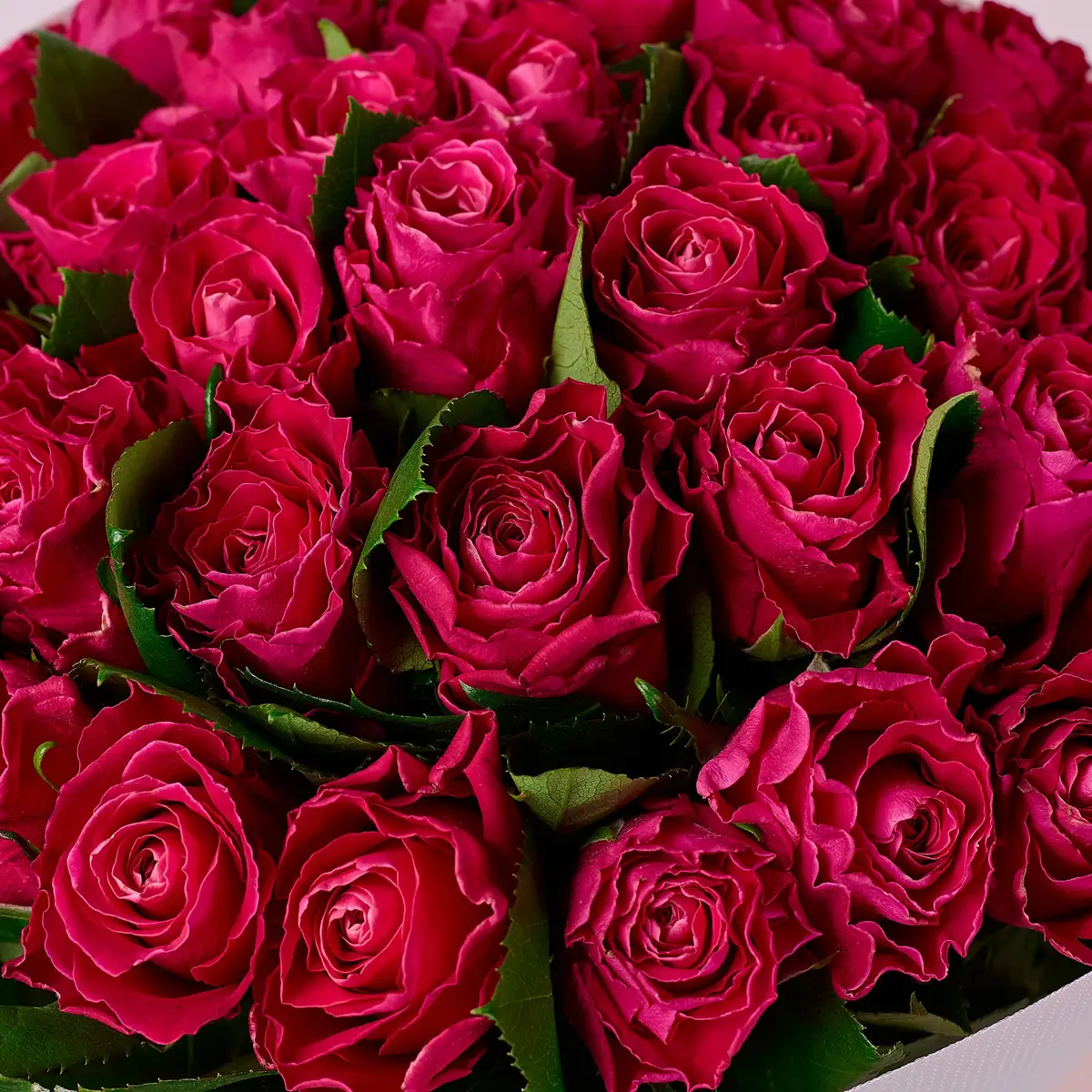 Букет 35 Троянд Муві Стар купити недорого в Україні, фото 3