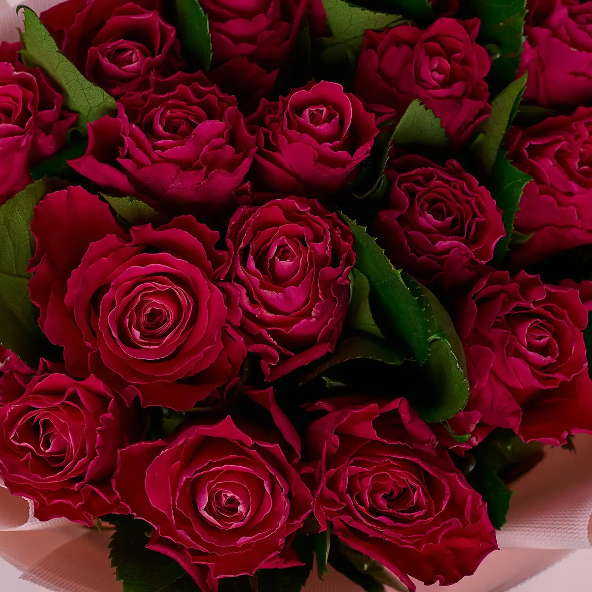 Букет 17 Троянд Муві Стар купити недорого в Україні, фото 3