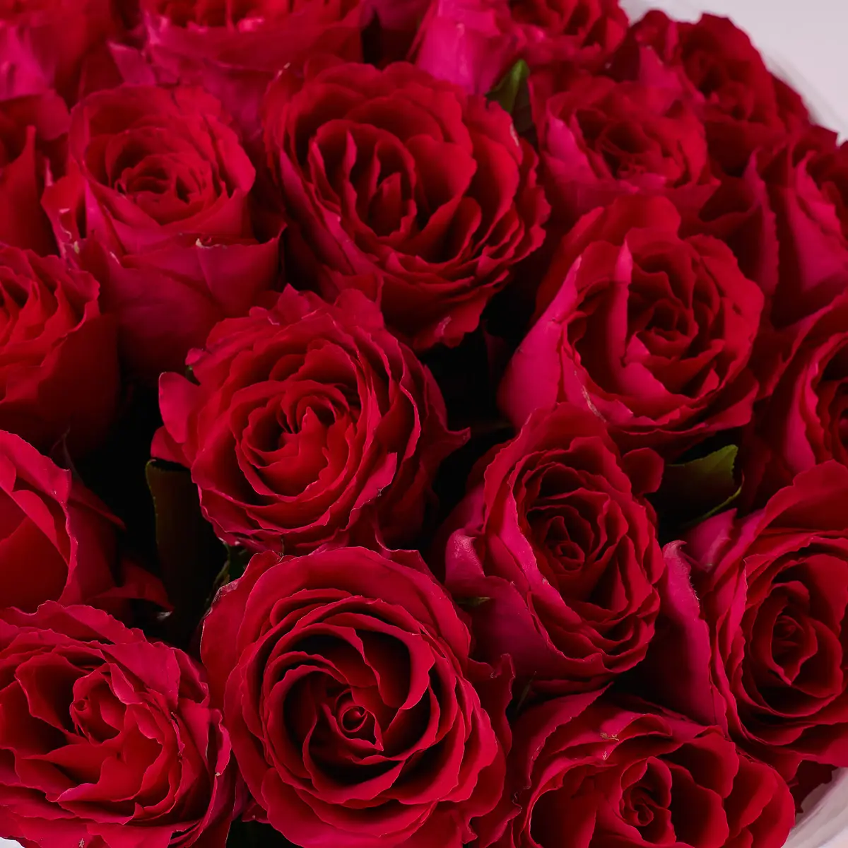 Букет 21 Троянда Мадам Церіз купити недорого в Україні, фото 3