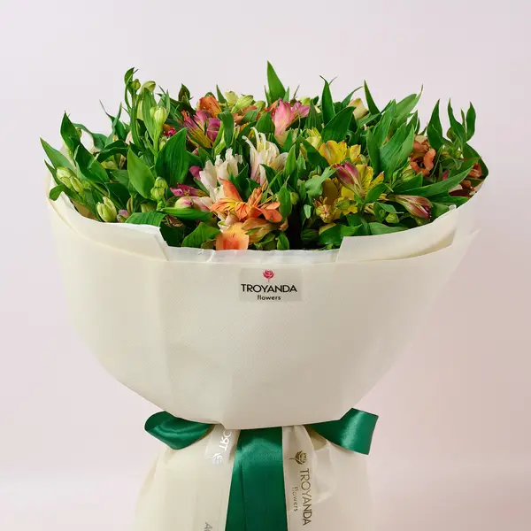 Букет 29 Альстромерій мікс купити