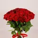 Букет 29 Роз красных Эвер Ред купить