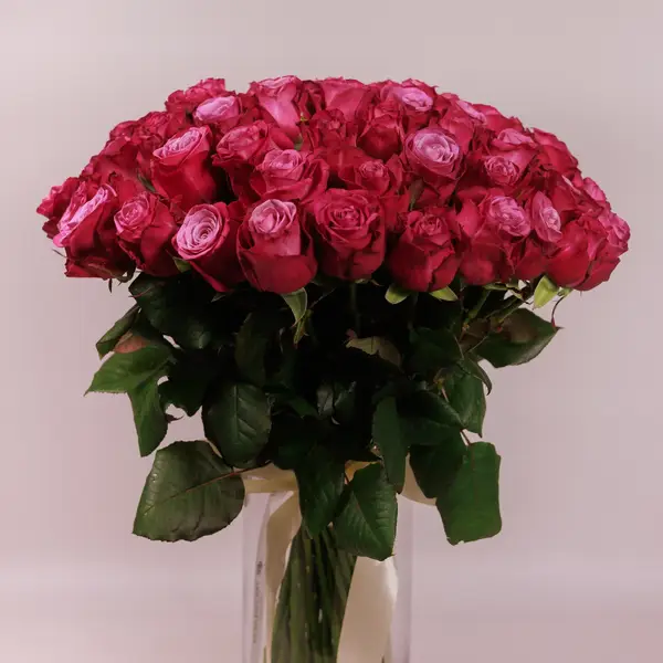 Букет 51 Роза Принц Персии купить