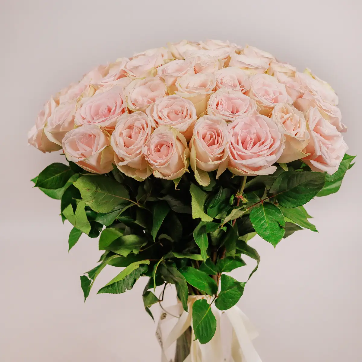 Букет 45 Троянд Хай Брайдл купити недорого в Україні, фото 2