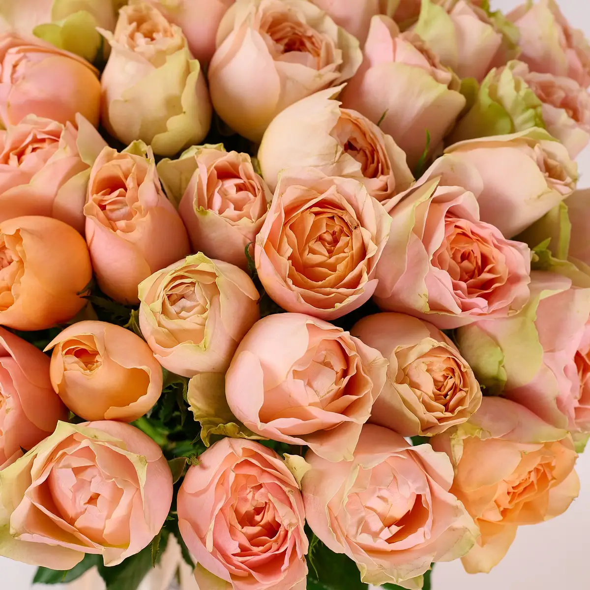 Букет 45 Троянд Гравіті купити недорого в Україні, фото 3