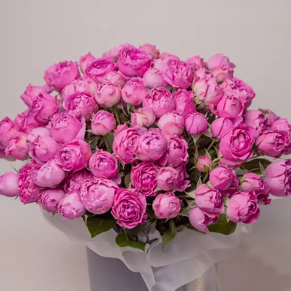 Бокс 39 Троянд спрей Місті Баблз купити