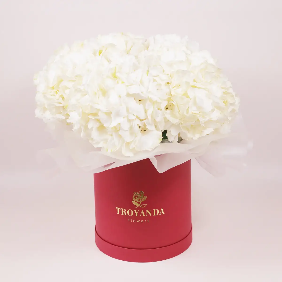 Коробка 5 белых гортензий купить