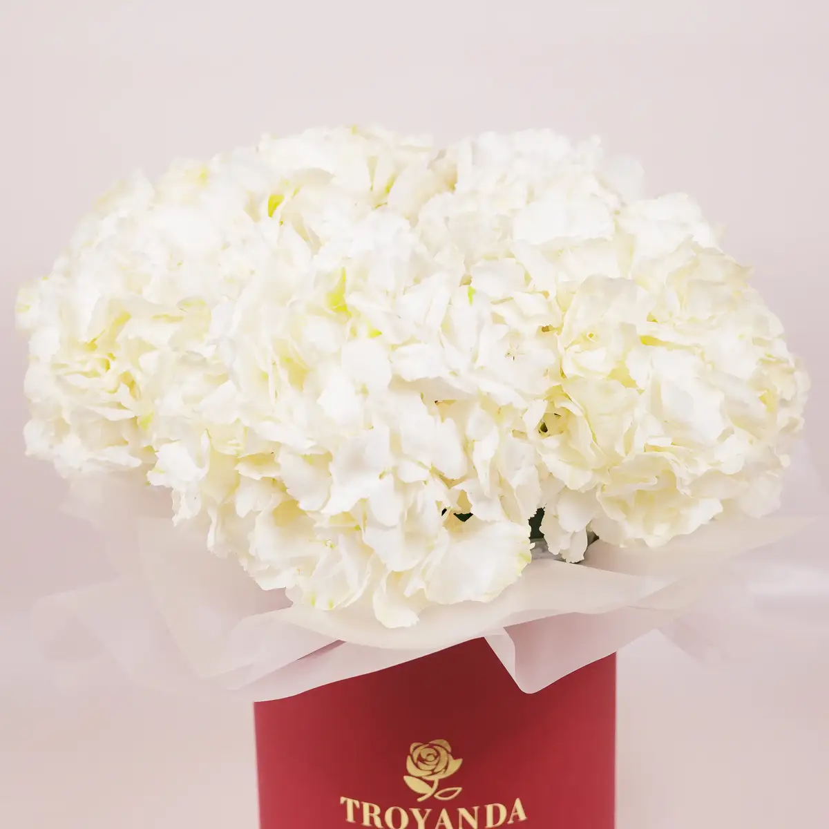 Коробка 5 белых гортензий купить недорого в Украине, фото 2
