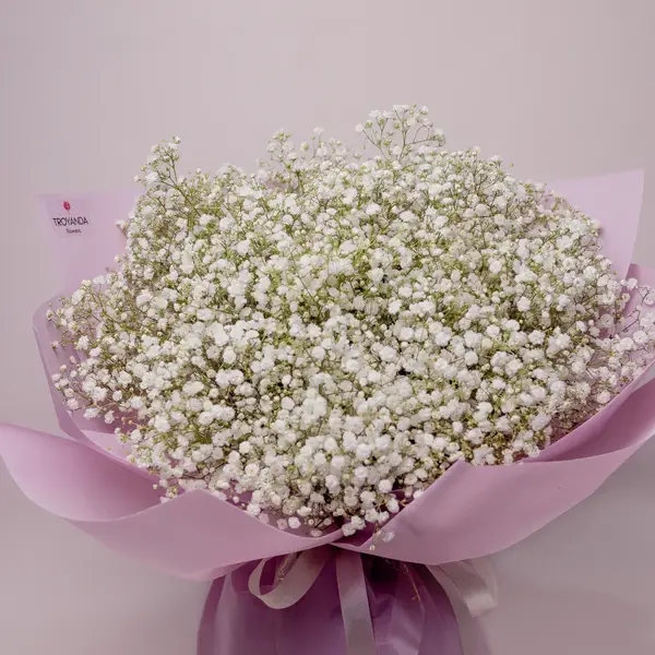 Букет 15 Білих Гіпсофіл купити