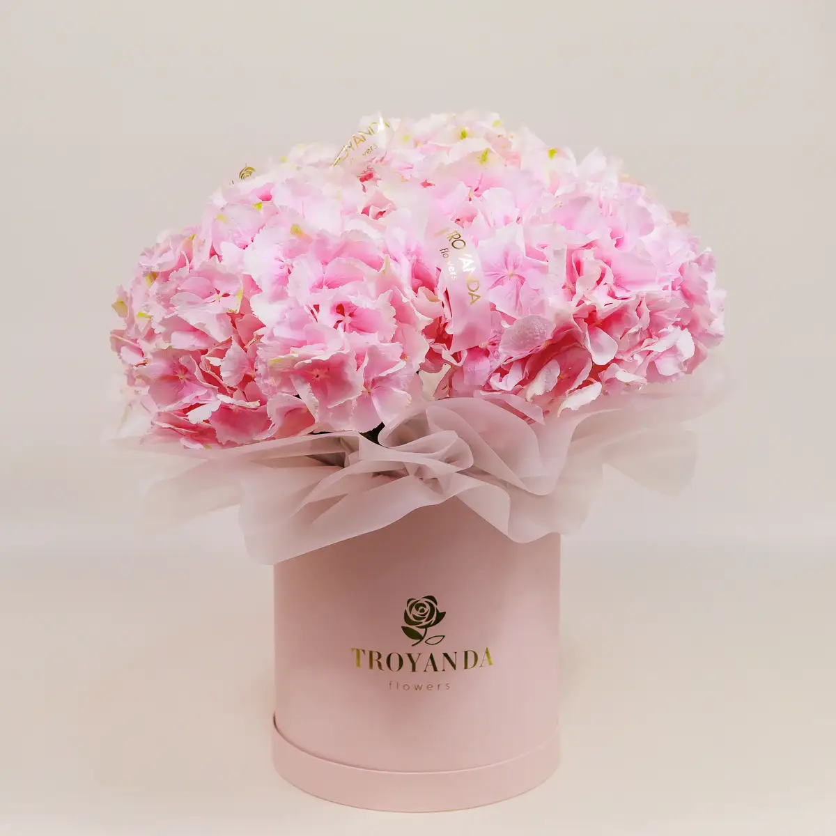 Бокс 5 Рожевих Гортензій купити
