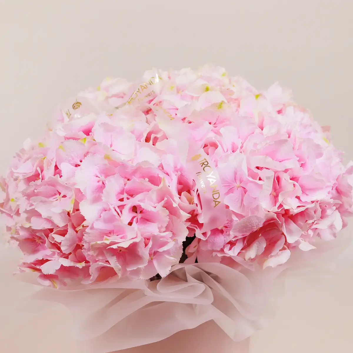 Бокс 5 Рожевих Гортензій купити недорого в Україні, фото 2