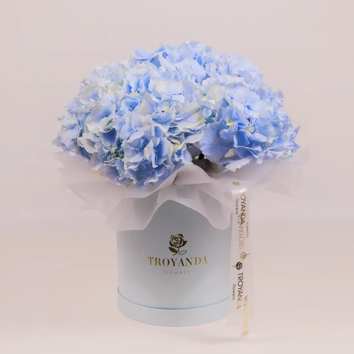 Коробка 5 голубых гортензий купить