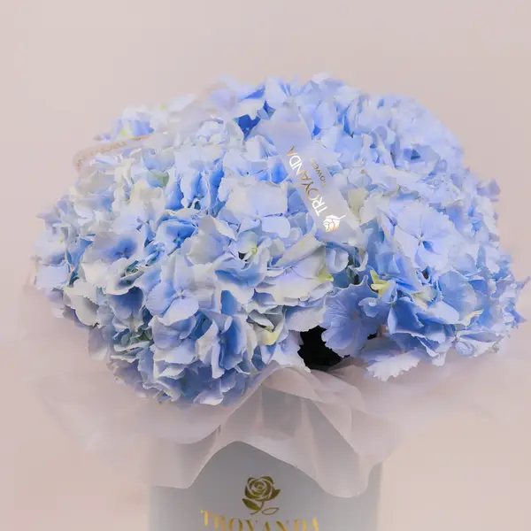 Коробка 5 голубых гортензий купить