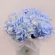 Коробка 5 голубых гортензий купить