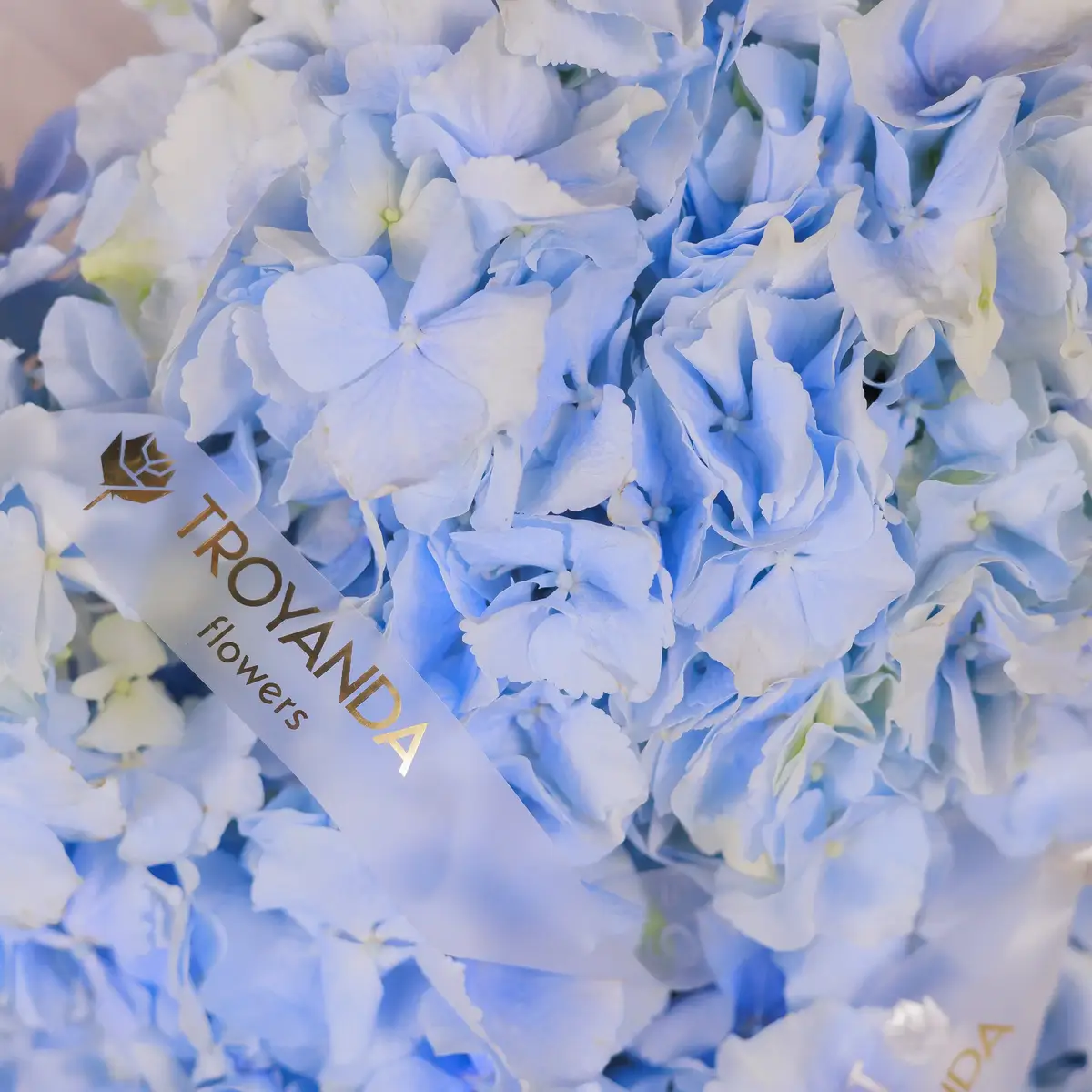 Коробка 5 голубых гортензий купить недорого в Украине, фото 3